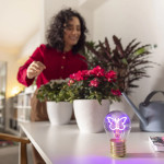 Legami Επιτραπέζιο φωτιστικό σε σχήμα λαμπτήρα Bulb Fiction Butterfly