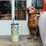 QUOKKA UMI GREEN TEA 720 ML