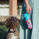 QUOKKA TIDE FLORAL JUMBLE 700 ML
