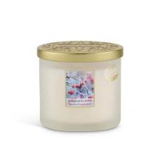 HEART n HOME ΚΕΡΙ ΜΕ ΔΙΠΛΟ ΦΥΤΙΛΙ ΧΕΙΜΩΝΙΑΤΙΚΑ ΜΟΥΡΑ