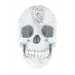 Diamond Dotz Crystal Skull  