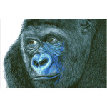 Diamond Dotz Kibali Western Lowland Gorilla 