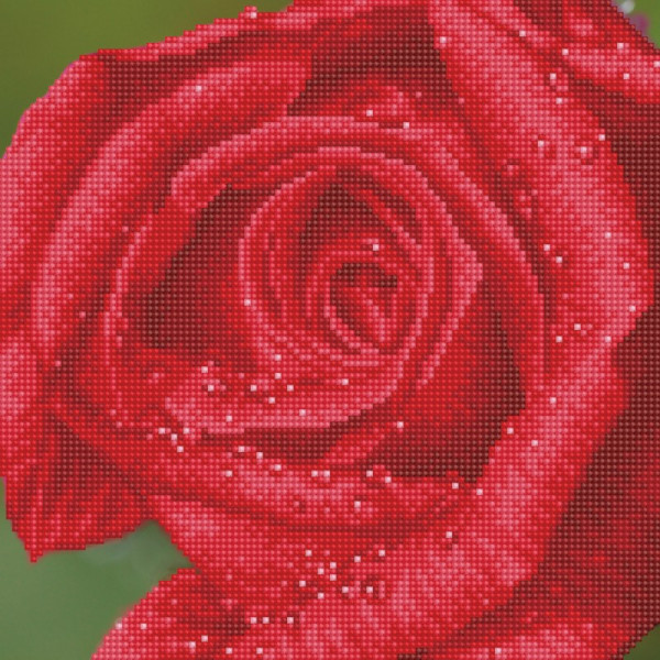 Diamond Dotz Rose Dew   