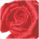 Diamond Dotz Rose Dew   